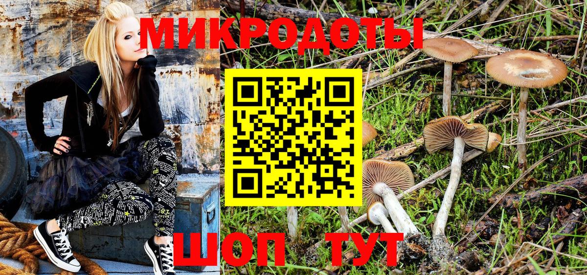 Псилоцибиновые грибы прущие грибы Бугульма