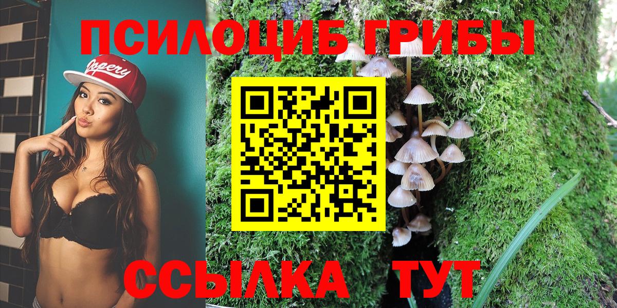 Псилоцибиновые грибы Magic Shrooms  Вход с VPN  Галлюциногенные грибы Psilocybine cubensis  где продают   Бугульма 